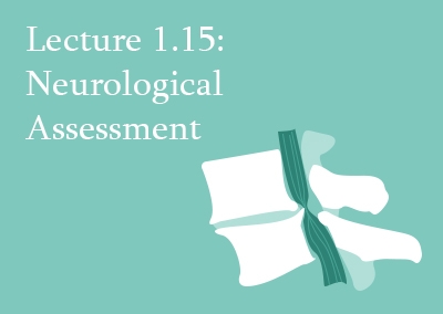 1.15 Neurological Assessment of the Spine