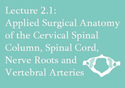 2.1 Applied Surgical Anatomy of the Cervical Spine