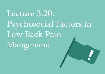 3.20 Psychosocial factors in low back pain management