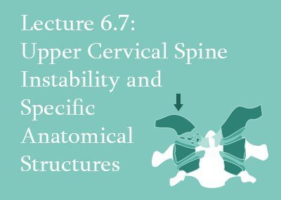 6.7 Upper CS: Instability and Specific Anatomical Structures