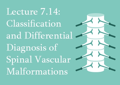 7.14 Classification and Differential Diagnosis of Spinal Vascular Malformations