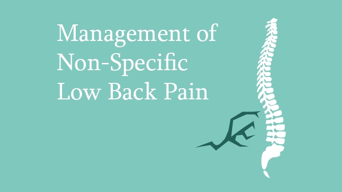 Management of non-specific low back pain Lecture Thumbnail