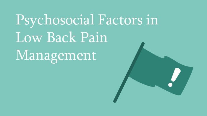 Psychosocial Factors in Low Back Pain Management - Spine Surgery Lecture - Thumbnail