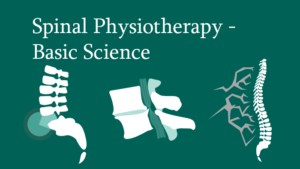 Spinal Physiotherapy – Basic Science